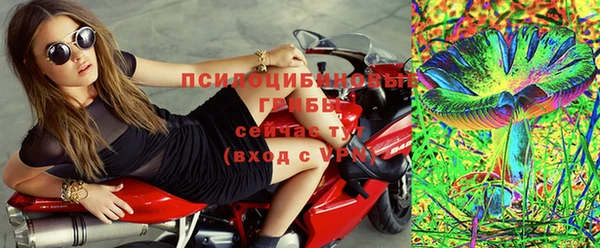 прущая мука Дмитриев