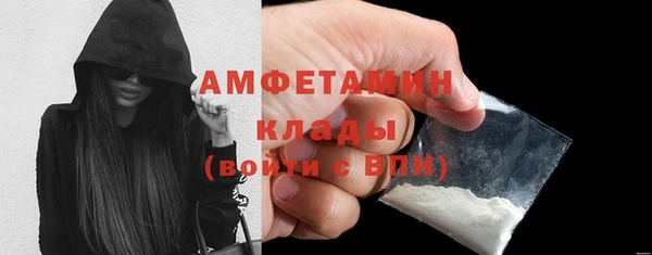 сатива Дмитровск
