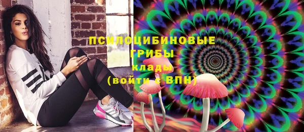 прущая мука Дмитриев