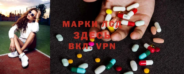 сатива Дмитровск
