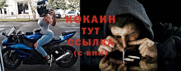 сатива Дмитровск