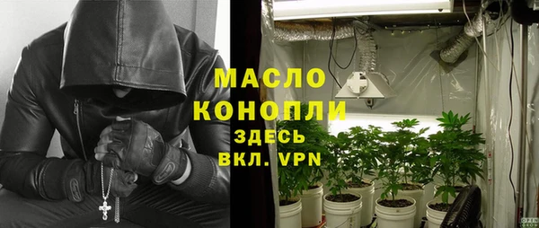 сатива Дмитровск