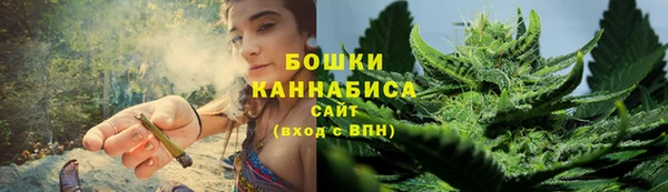 сатива Дмитровск
