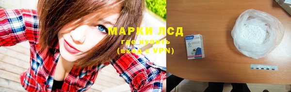 сатива Дмитровск