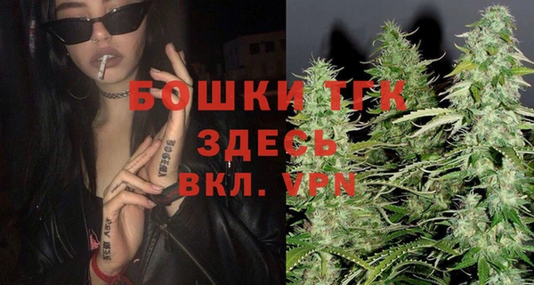 прущая мука Дмитриев
